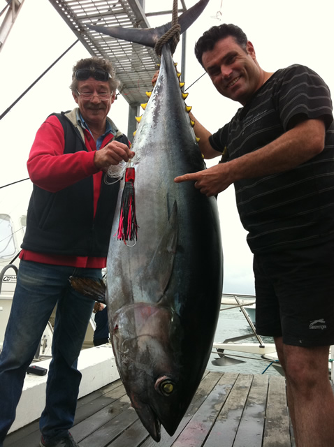 ANGLER: Domenic Cimilio   SPECIES: Big Eye Tuna  WEIGHT: 97.2 Kg LURE: JB Lures, 10 inch Ripper